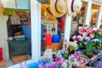 Jane Austen en Winchester